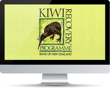 Kiwi Recovery Programme