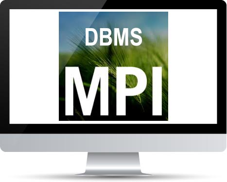 MPI - DBMS