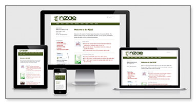 NZAE responsive layouts