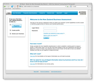 NZ Business Assessment - homepage