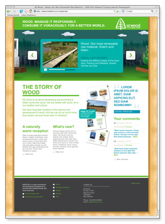 NZWood (campaign) - homepage template (v1)