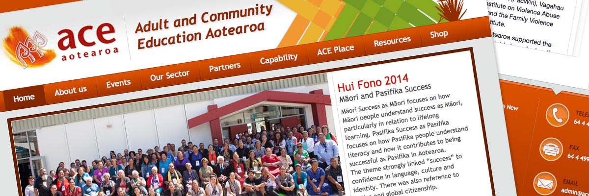 ACE Aotearoa website design detail