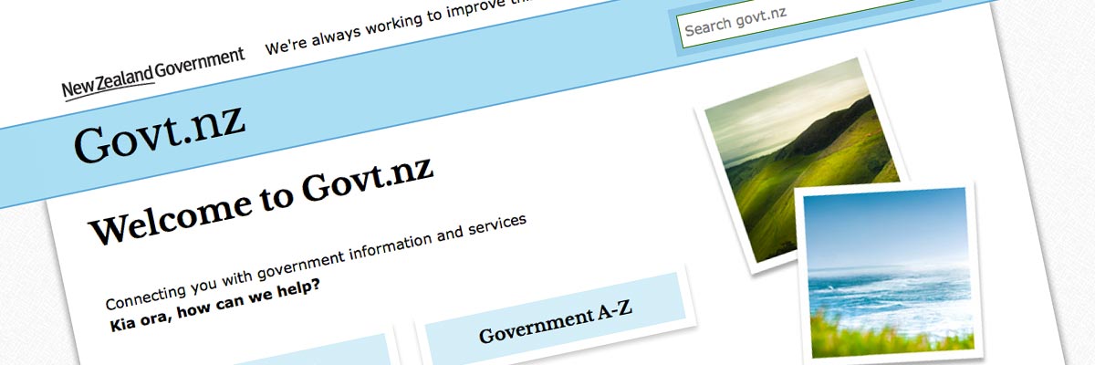 Govt.nz website design detail