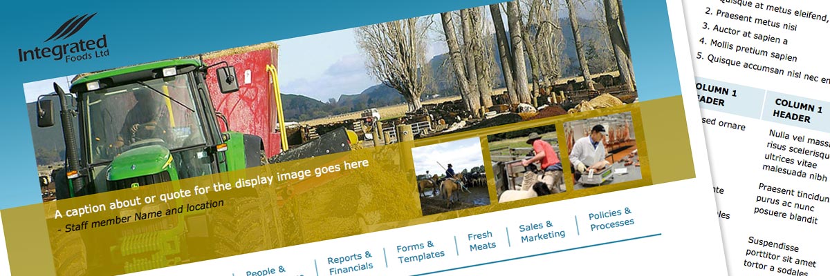 Integrated Foods Intranet design detail