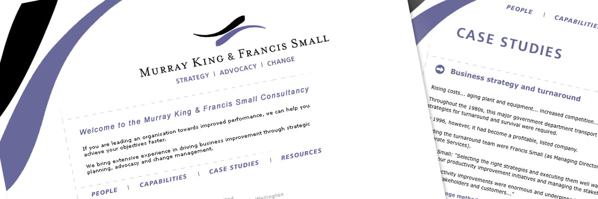 Murray King & Francis Small Consultancy website design details