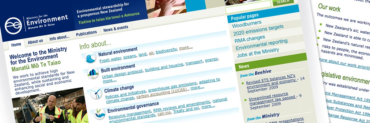 Ministry for the Environment website design detail