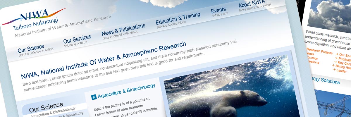 The National Institute of Water & Atmospheric Research website design detail