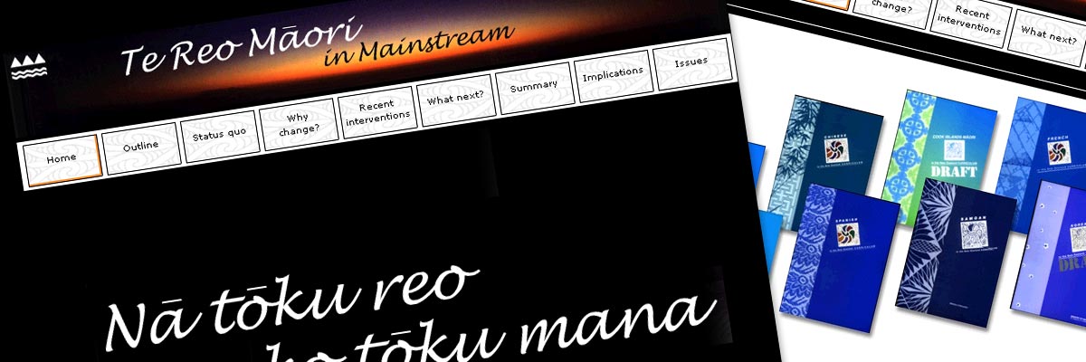 Te Reo Māori in Mainstream website design details